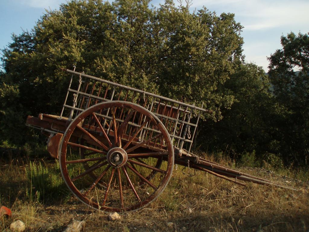 Masia De La Serra De La Cogulla Пеньярроия-де-Таставинс Экстерьер фото
